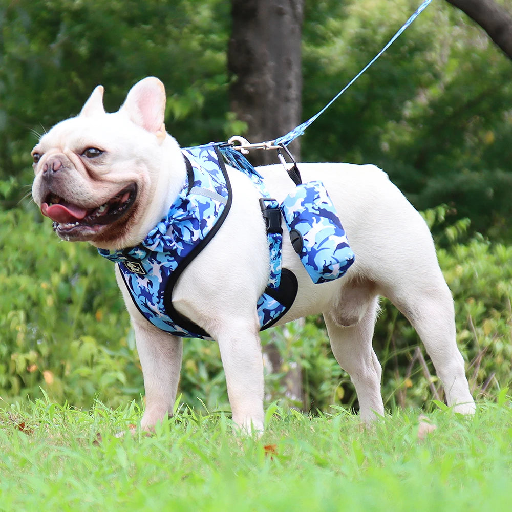 Dog Harness Set