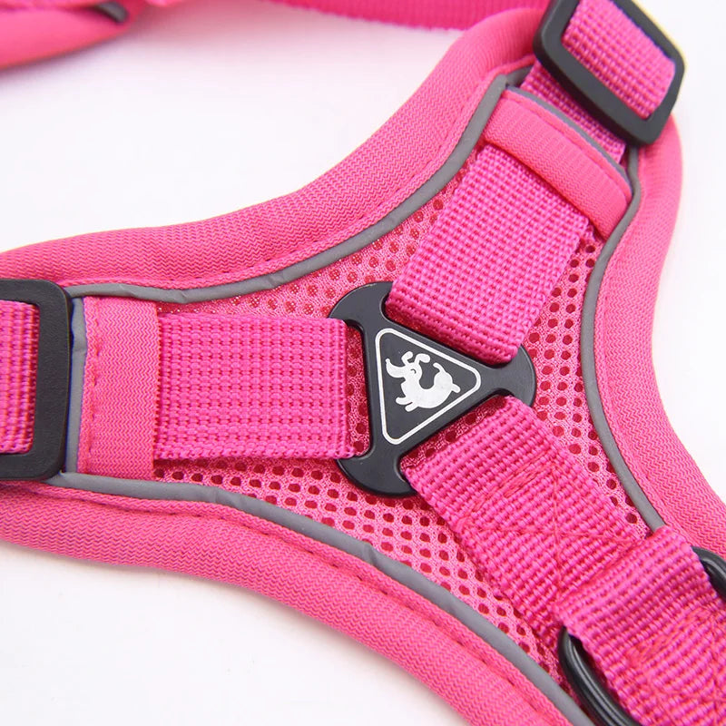 Cat Harness