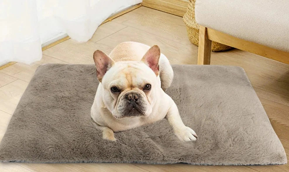 Thick Winter Dog Mat Warm