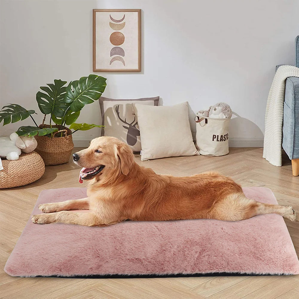 Thick Winter Dog Mat Warm