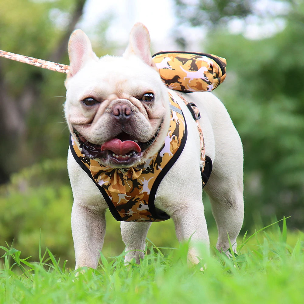 Dog Harness Set