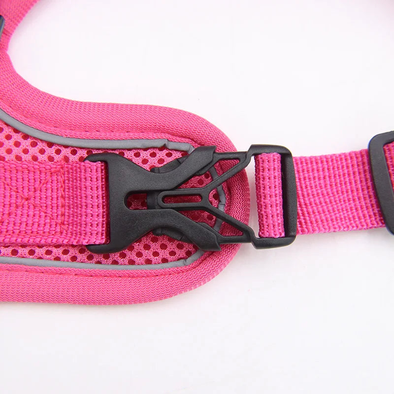 Cat Harness