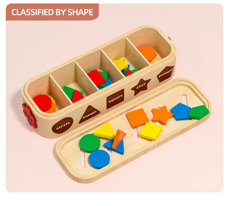 Shape Assortment Toy