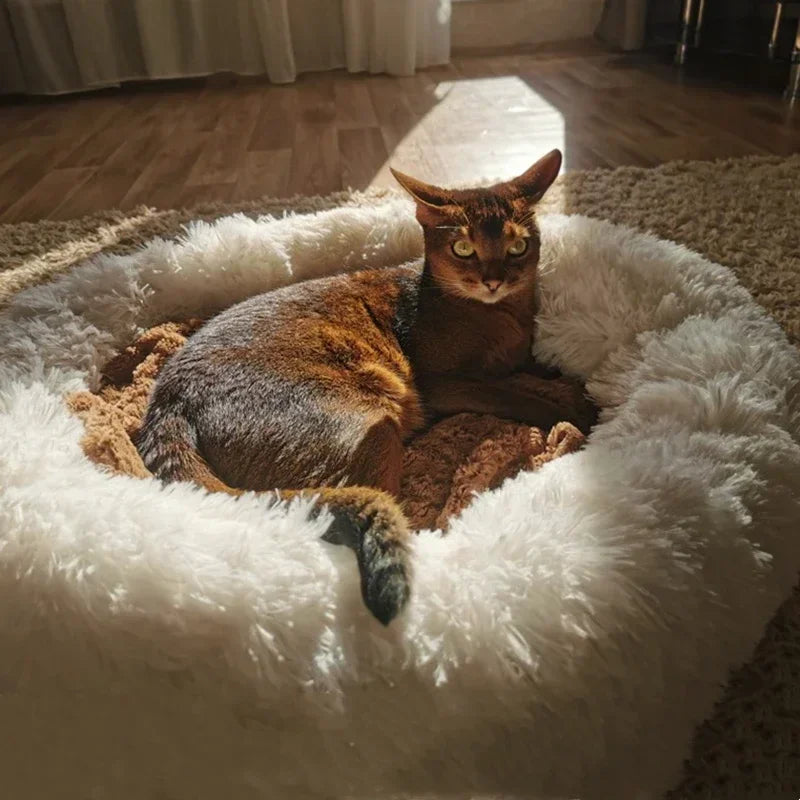 Super Soft Plush Bed