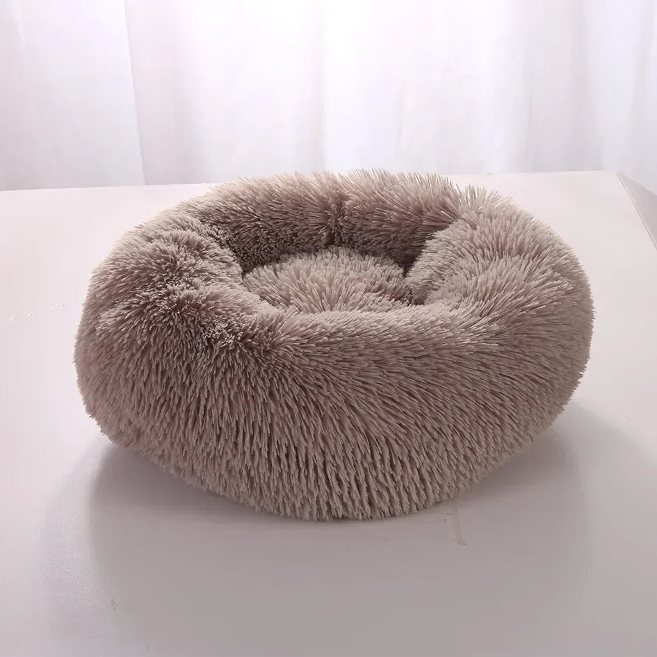 Super Soft Plush Bed