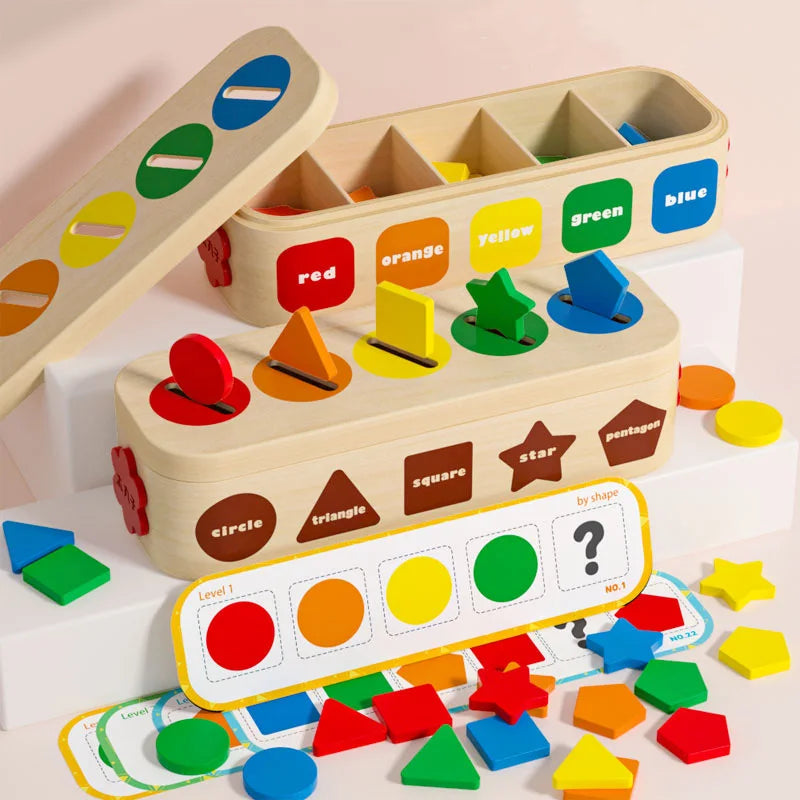 Shape Assortment Toy